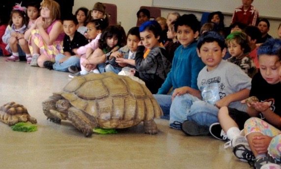 Empty camera 274-3-1